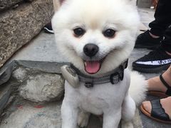 -塔云山