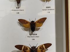 -中国湿地博物馆
