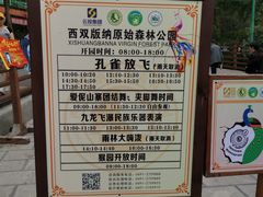 -西双版纳原始森林公园