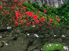 -雁荡山风景名胜区
