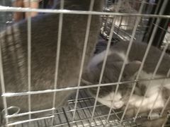 -远洋未来广场(育慧北路店)