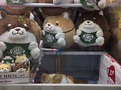-秋叶原电器街