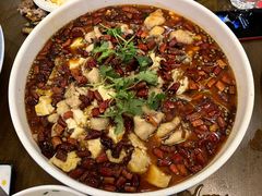 -陈麻婆豆腐(旗舰店)