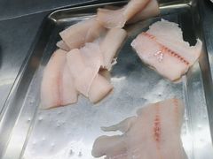 -粤凤佬