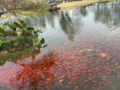 -成都市实验小学(人民中路校区)