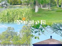 -苏州东太湖生态园