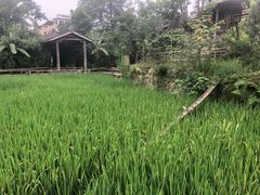 -驿舍·民國老营房院子私房菜(科学会堂店)