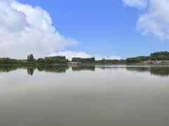 -大兴滨河森林公园