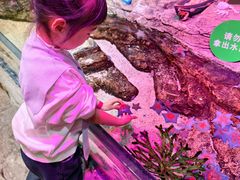 -沈阳海洋探索中心