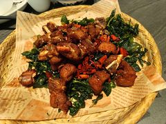 -滇铺子·云南特色菜·第九届野生菌美食节(曲靖万达店)