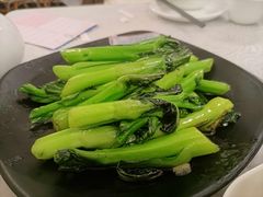 生炒连州菜心-粤·向群饭店(龙津东路总店)