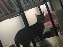 -小时光咖啡馆(开森度假森林店)