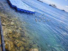 -青海湖二郎剑景区