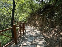 -大岭沟猕猴桃谷风景区