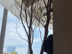 -一棠龙虾•王牌虾球(恒隆广场店)