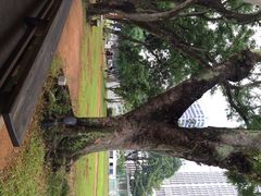 iphone_upload_pic-圣安德烈教堂