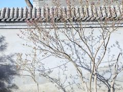 -三里河公园