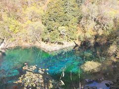 -叠溪松坪沟景区