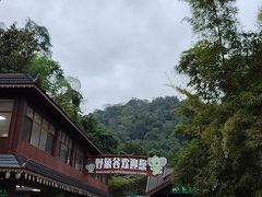 -野象谷景区