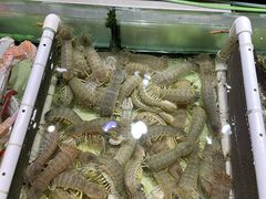 -强记海鲜·大排档(蛇口新街店)