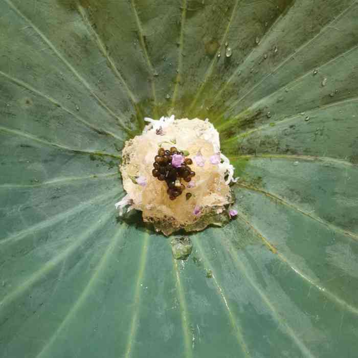 需要提前预约,午."-大众点评移动版