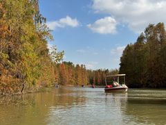 -上海海湾国家森林公园