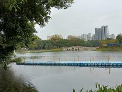 -荔湾湖公园