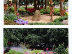 -广州市白云山风景名胜区