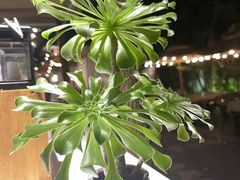 -云里小坐·小院里·团建·宴请·下午茶(三圣乡店)