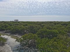 -北海金海湾红树林生态旅游区