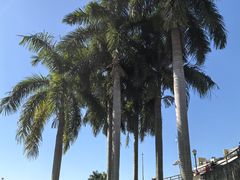 -石炮台公园