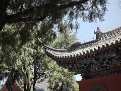 -洛阳白马寺