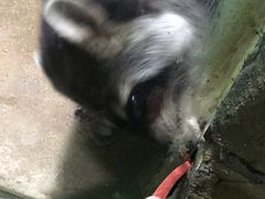 -白鹿仓冰雪海洋世界
