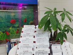 -雅悦齿科(顾村公园店)