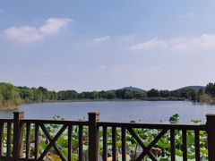 -上海市保健医疗中心