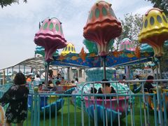 -秦皇岛乐岛海洋王国