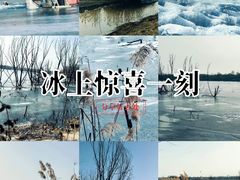 -绿堤公园