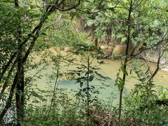 -广州白江湖森林公园