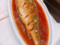 -鸢飞潍坊菜馆(鸢飞大酒店)