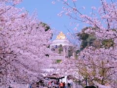 -苏州上方山国家森林公园