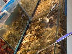 -港畔赶海蒸汽海鲜烧烤自助(仙螺岛店)
