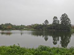 -眉山湿地公园(东坡区)