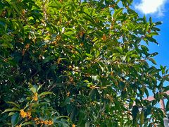 -杭州西湖风景名胜区-满觉陇四眼井