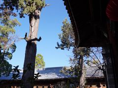 -大理文庙(大理古城)