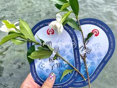 -霸王茶姬(正佳广场店)