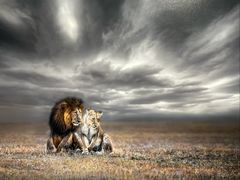 -罗红摄影艺术馆