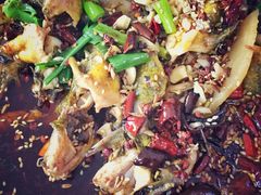 黄辣丁-卧龙鱼庄