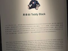 -成都泰迪熊博物馆