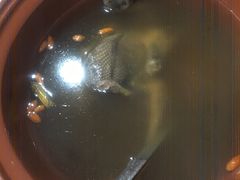 -小贝壳酒楼(经九路店)