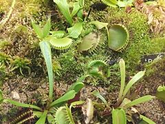 -北京植物园-展览温室